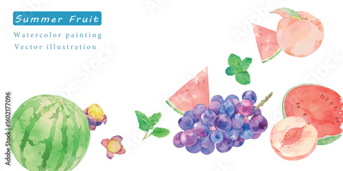 水彩で描いた夏のフルーツベクターイラスト