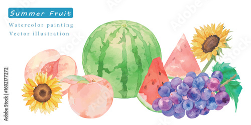 水彩で描いた夏のフルーツベクターイラスト