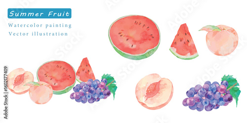 水彩で描いた夏のフルーツベクターイラスト