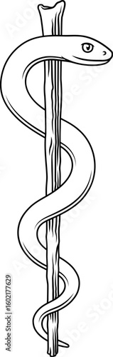 Rod of Asclepius or Aesculapius doctor medical symbol, often mislabelled as a caduceus. Features a snake curled around a staff.