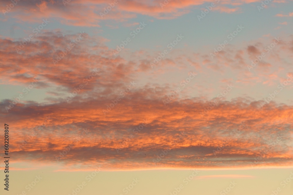 Fototapeta premium Vibrant pink and orange sunset clouds, forming a picturesque sky canvas.