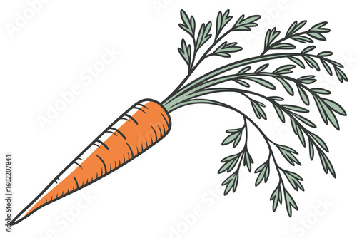 Bright orange carrot with green leaves grows in a garden, showcasing its vibrant color and fresh appearance, ideal for healthy cooking and nutrition-focused recipes