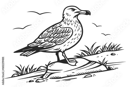 Elegant bird perched on a rock with grass and sky in the background at a coastal location during daylight