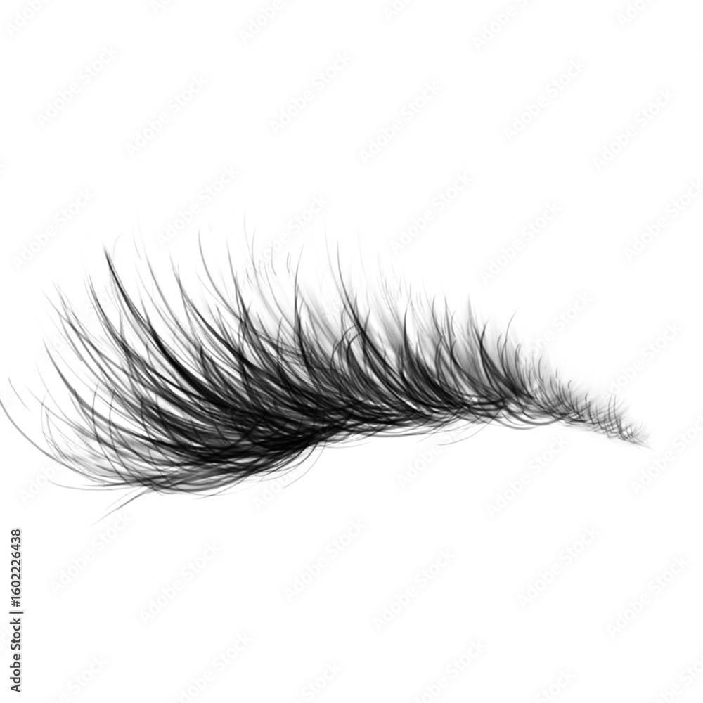 Eyebrow png Eyebrow png