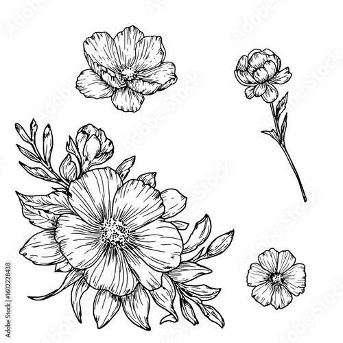 Bouquet of wildflowers with petals and buds, black and white sketch. Vector illustration. Set of silhouettes of flowers and leaves, isolated on white background. For postcards, invitations, and prints