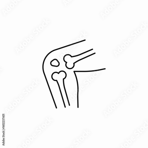 joint bones knee icon sign vector