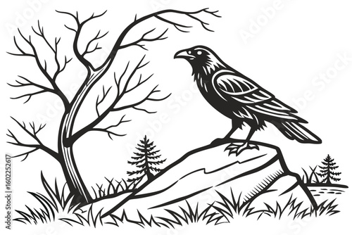 Raven perched on a rock in a forest landscape featuring bare trees and evergreens during a serene day