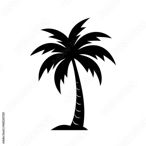 Isolated silhouette of a single tropical palm tree on white background
