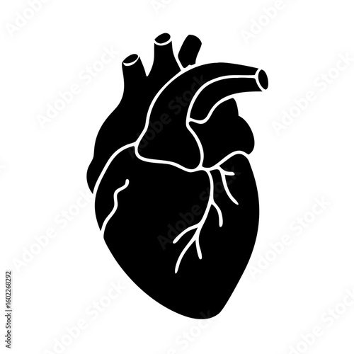 Stylized anatomical heart illustration in black and white, suitable for medical use