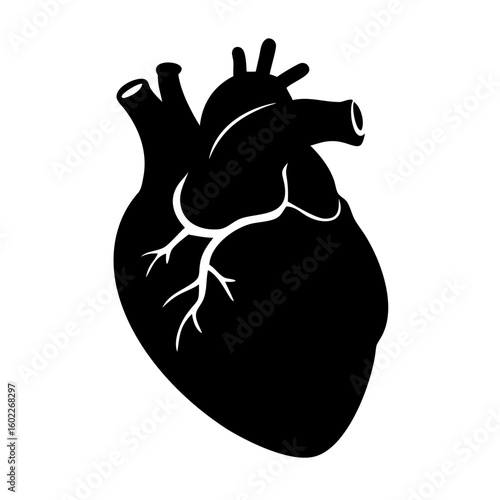 Anatomically accurate depiction of a human heart in black silhouette illustration