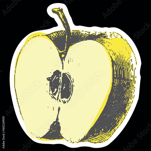 Apple half with seeds and stem in vintage engraving style. Yellow and black vector illustration.