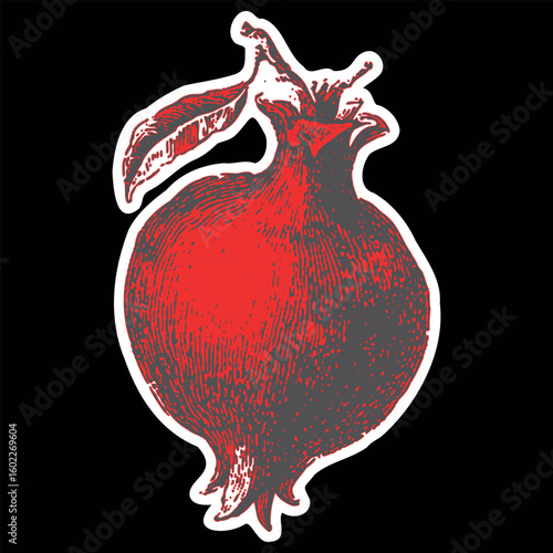 Pomegranate fruit in a red vintage engraving style. Botanical vector illustration for Rosh Hashanah and holiday theme.