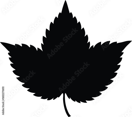 nettle leaf silhouette vector