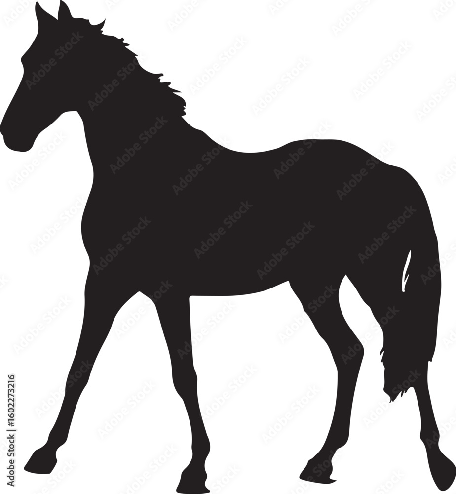 Obraz premium horse silhouette vector