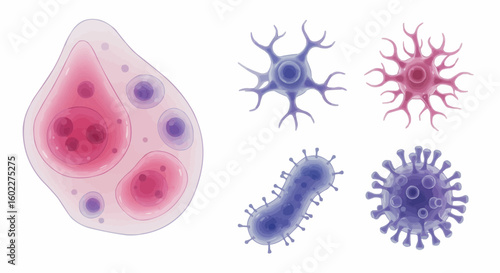 Microscopic view of various cells, including a large amoeba-like cell, neurons, and viruses.