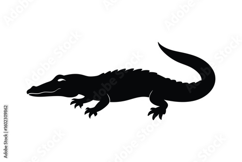crocodile isolated on white