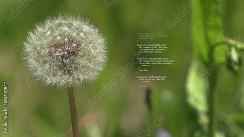 Animation of data processing over nature landscape. Business with nature and digital interface concept digitally generated video.