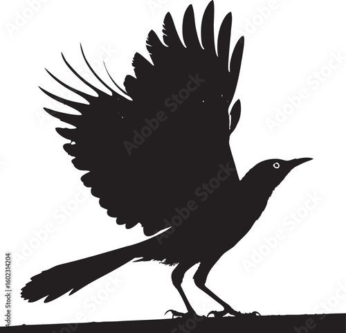 Black bird taking flight with wings spread silhouette