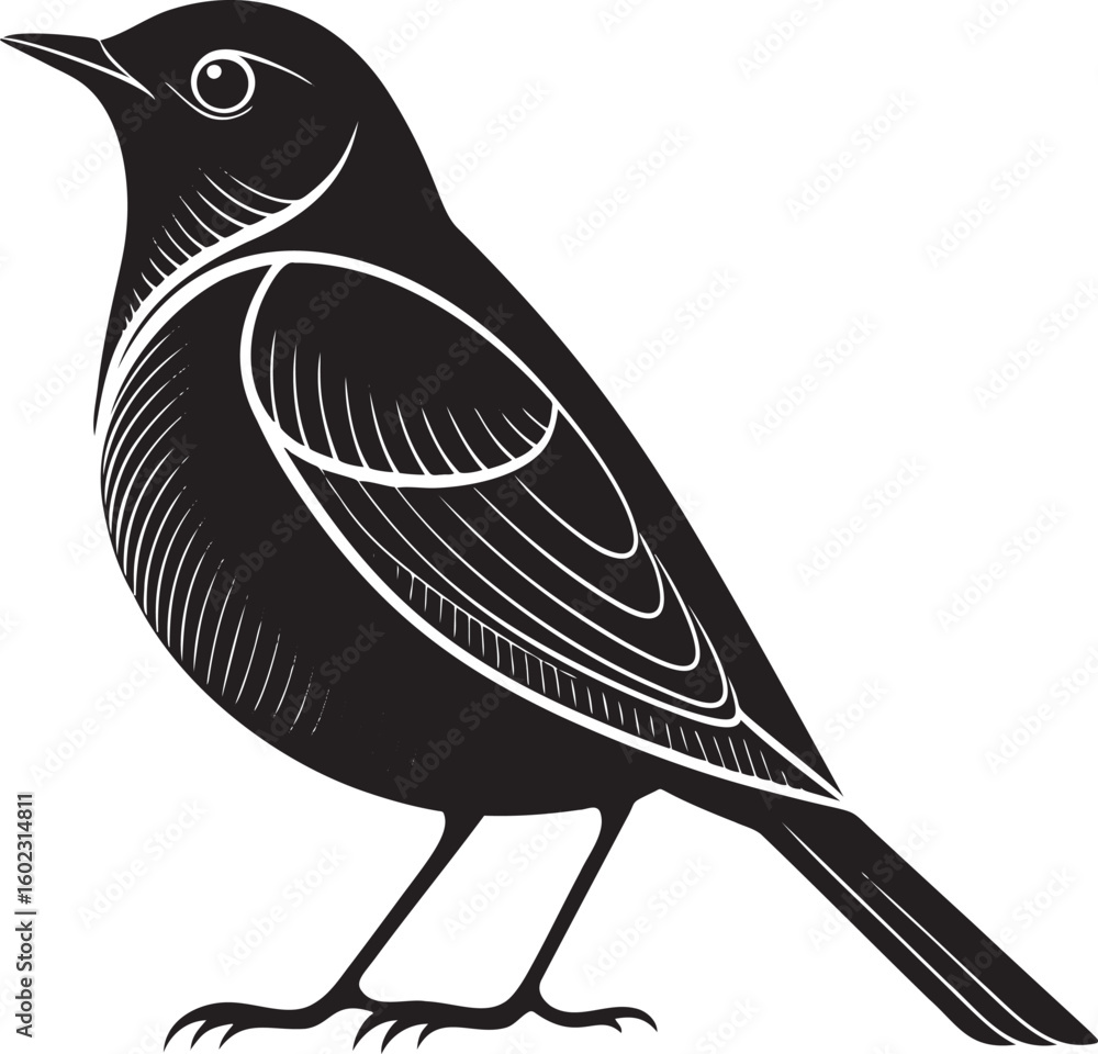 Obraz premium Black bird with white accents illustration graphic