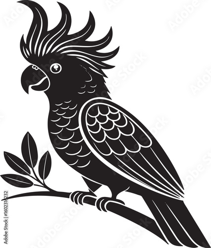 Black cockatoo perched on a branch parrot bird