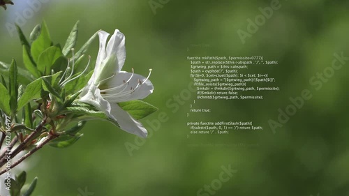 Animation of data processing over nature landscape. Business with nature and digital interface concept digitally generated video.