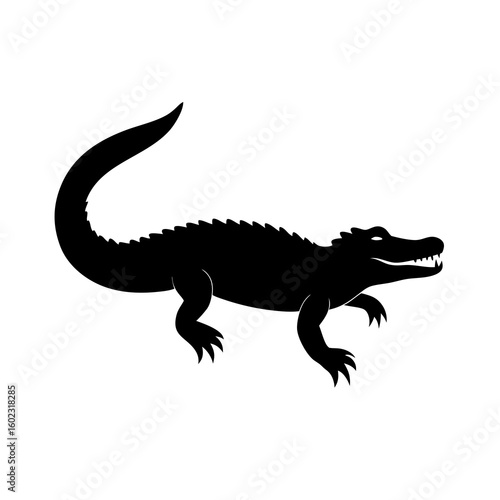 crocodile isolated on white