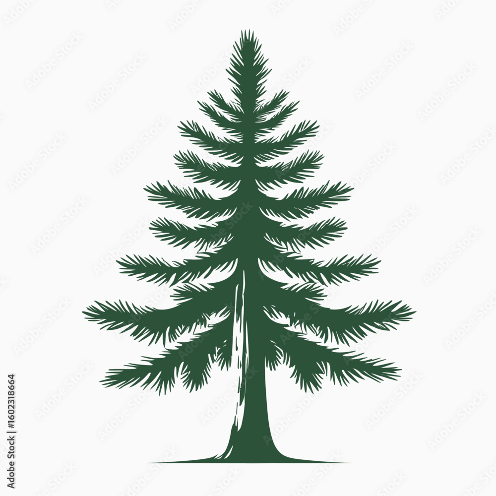 Fototapeta premium Vector Illustration of Pine Tree in Naturalistic Style with Green Color