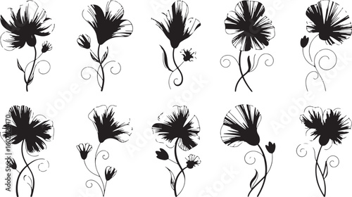 Black floral silhouettes with swirling stems and buds white nature