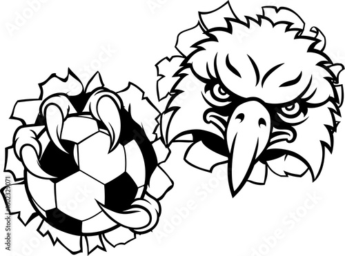 Eagle Hawk Soccer Football ...