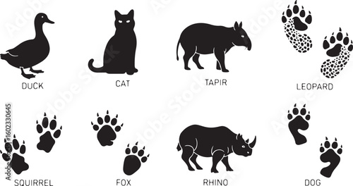 Animal silhouettes and paw prints duck tapir, duck, cat, tapir, leopard, squirrel, fox, rhino, dog, paw prints, silhouettes, black and white, wildlife, domestic animals, wild animals, nature, illustra