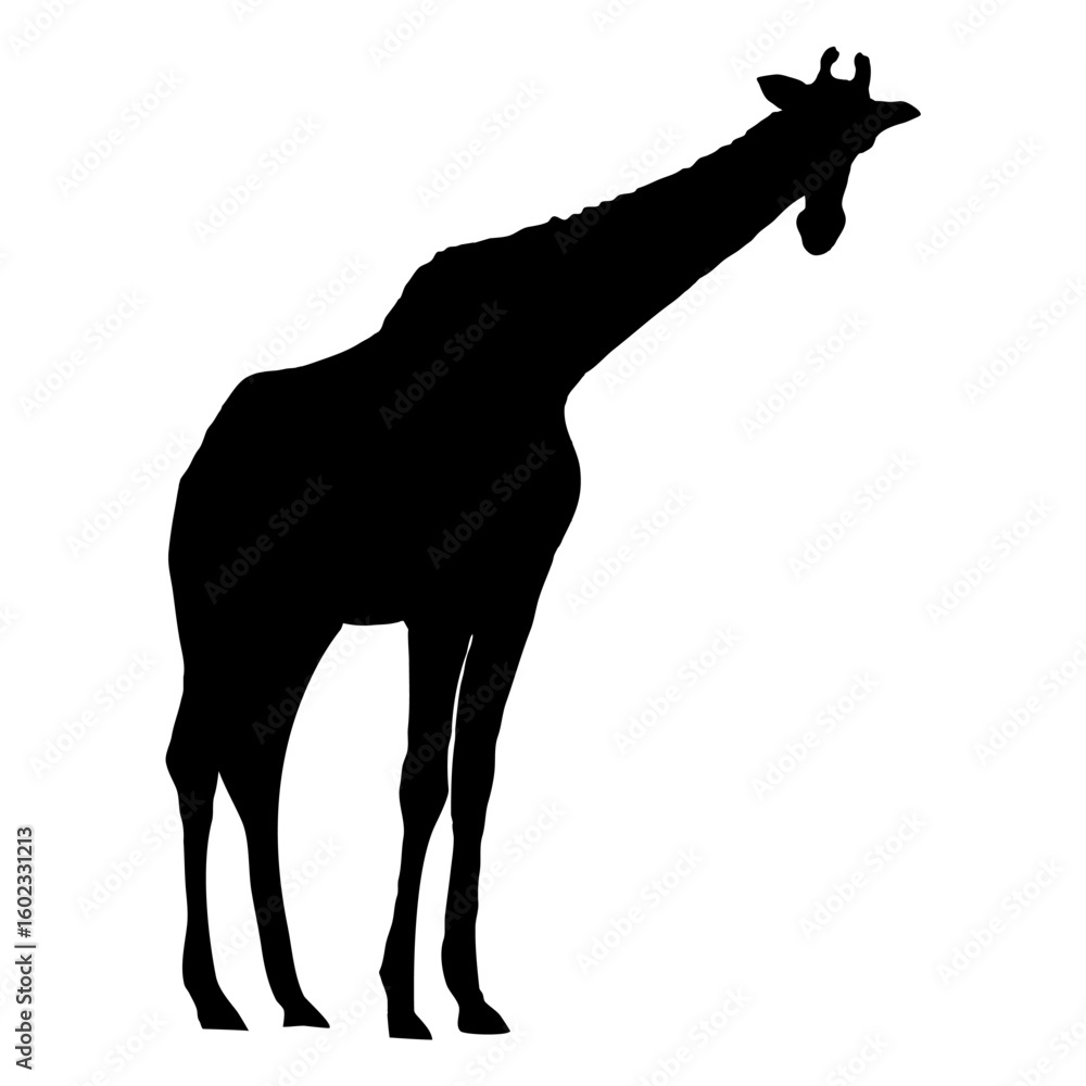 Fototapeta premium Giraffe silhouette. Realistic vector animal