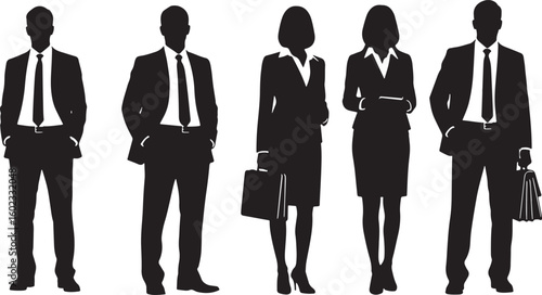 Business professionals standing together people silhouettes, business, professionals, people, silhouettes, men, women, suits, ties, briefcases, formal wear, standing, white background, teamwork, corpo