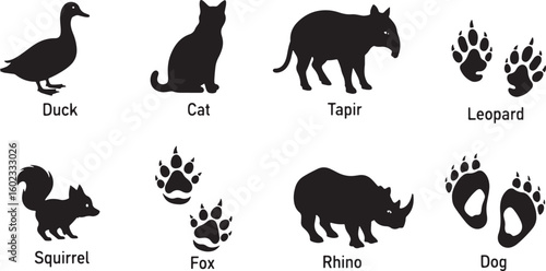 Duck cat tapir leopard squirrel fox rhino dog vector, duck, cat, tapir, leopard, squirrel, fox, rhino, dog, paw prints, silhouettes, animals, wildlife, black and white, illustration, graphic design, n