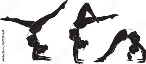 Gymnasts performing acrobatic poses gymnastics silhouette, gymnastics, acrobatic, poses, silhouette, black and white, female, flexibility, strength, balance, sport, performance, artistic, movement, at