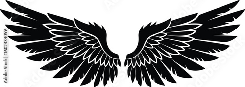 Two stylized black wings symmetrically spread out against a white background in a graphic illustration