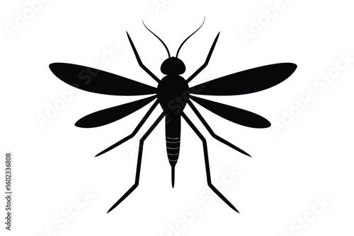 dragonfly vector illustration
