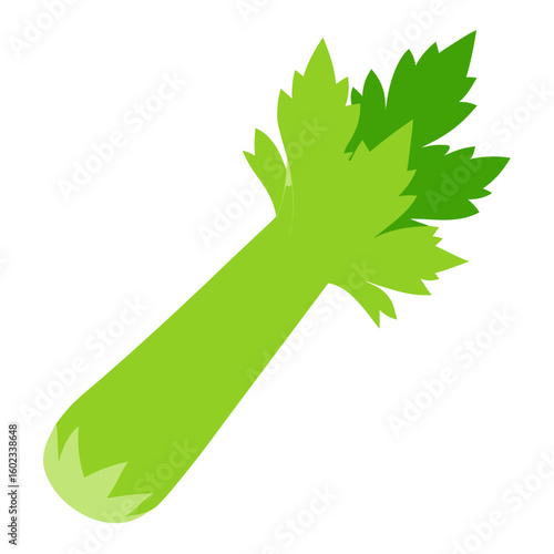 Celery vector illustration perfect for posters, icon, t-shirts, cards, wall art prints and ai design.