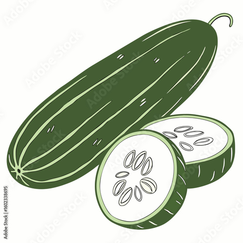 Cucumber vector illustration perfect for posters, icon, t-shirts, cards, wall art prints and ai design.