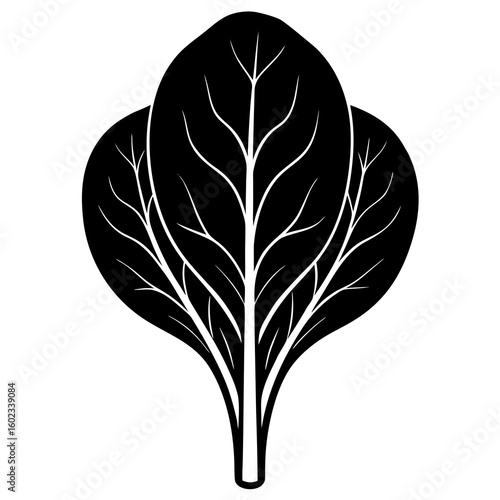 Spinach  vector illustration perfect for posters, icon, t-shirts, cards, wall art prints and ai design.