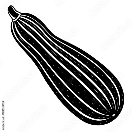 Zucchini  vector illustration perfect for posters, icon, t-shirts, cards, wall art prints and ai design.