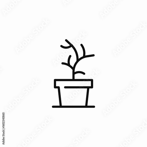 dried potted plant sketch icon sign vector