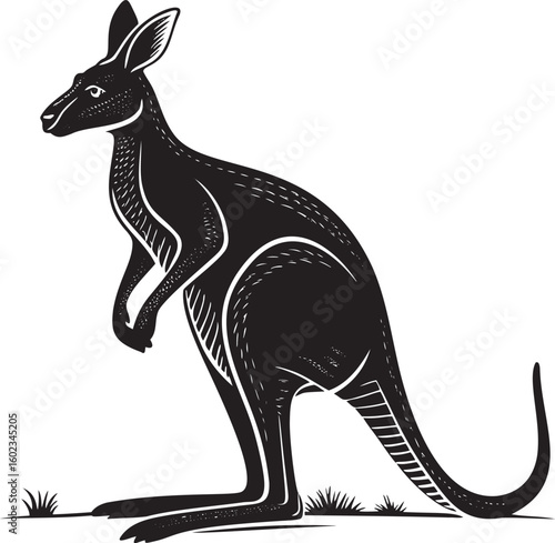 Black kangaroo standing on grass white animal