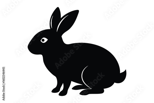 vector illustration of a rabbit