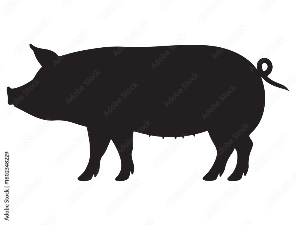 Fototapeta premium PIG SILHOUETTE