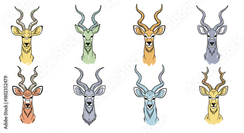 Kudu heads in varied hues face forward. Wildlife art, animal illustration, African safari, horns, mammal, wilderness, nature, fauna, design, diversity.