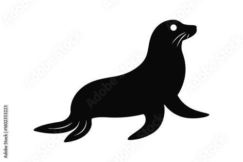 sea lion vector illustration