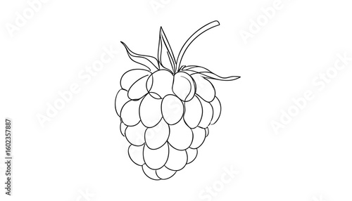 Line art sketch of a raspberry