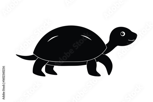 vector illustration of turtle
