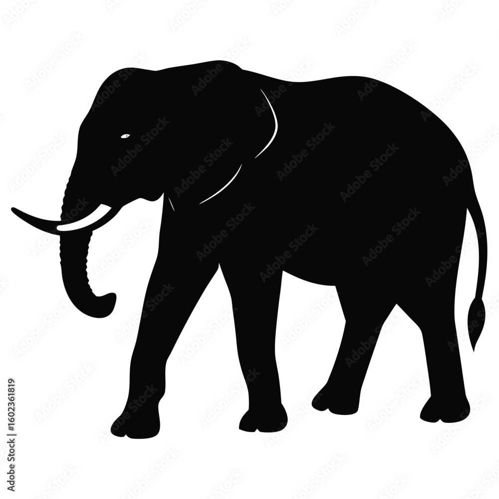 Fototapeta premium elephant vector illustration