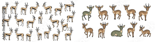 Gazelles standing and walking. African wildlife, fauna, animal illustration, nature, horned mammal, wild animal, ungulate, safari, herbivores, grassland.